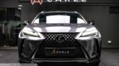 Lexus UX200 Executive - Carle Singapore