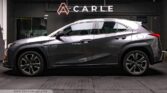 Lexus UX200 Executive - Carle Singapore