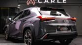Lexus UX200 Executive - Carle Singapore