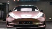 Tesla Model 3 Electric Standard Range - Carle Singapore